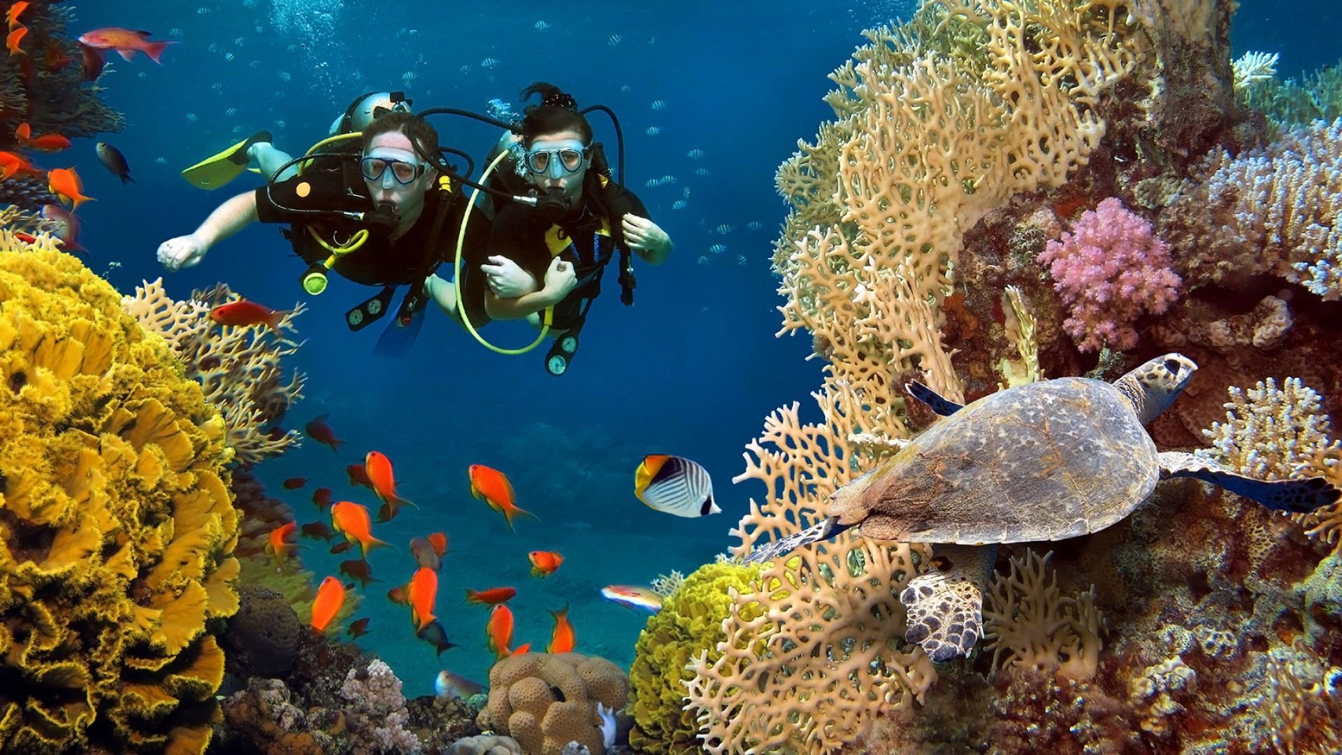 DIVING