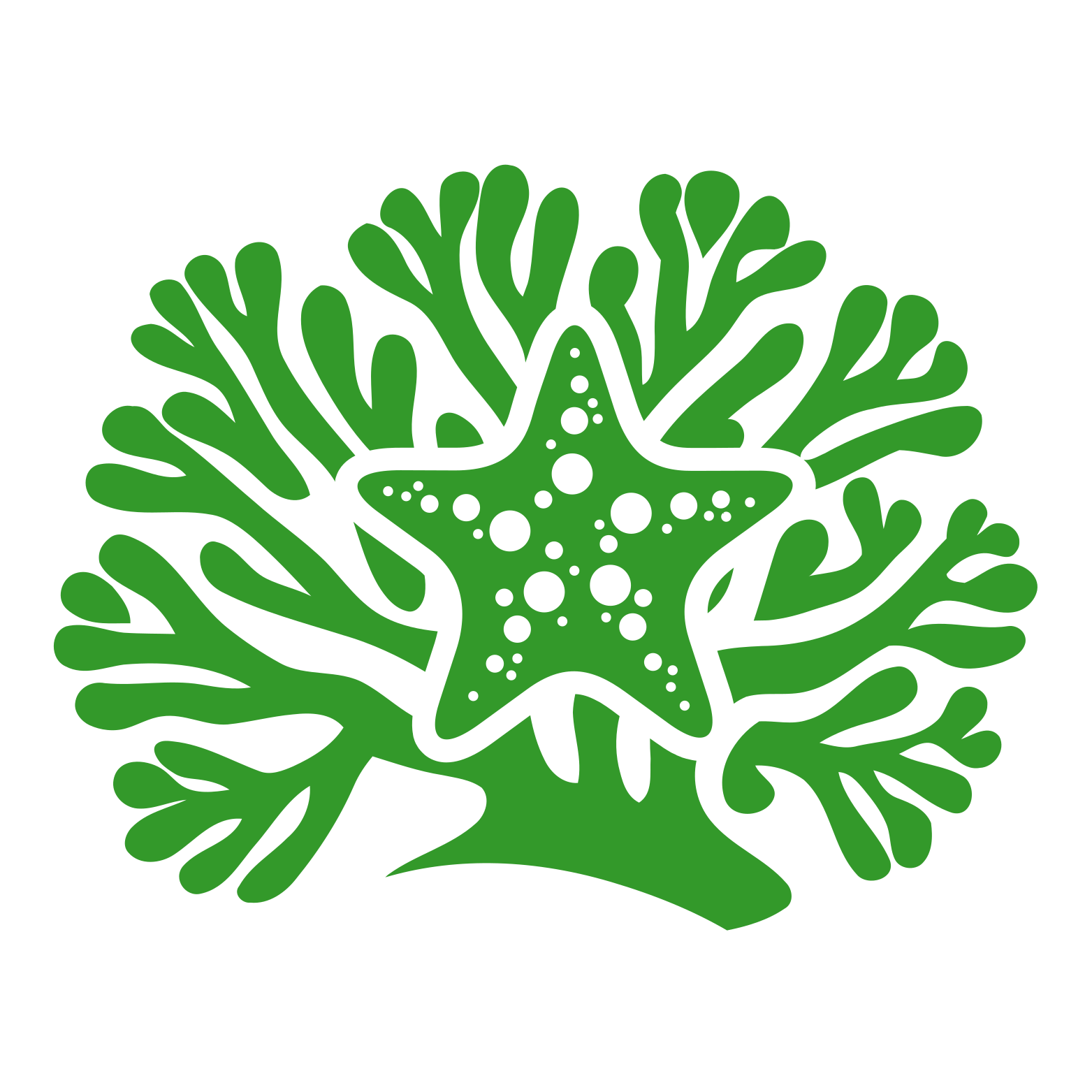 Contact Icon